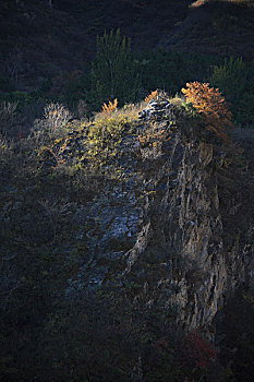 房山花台