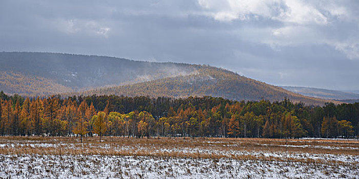 阿尔山雪景