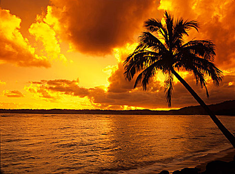美国,夏威夷,考艾岛,彩色,日出,热带天堂