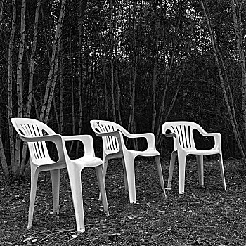 三个,空,白色,塑料制品,花园,椅子,位于,正面,树,区域,缅因,美国