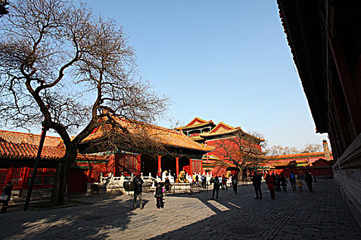 皇极殿,故宫,中国,北京,全景,地标,传统