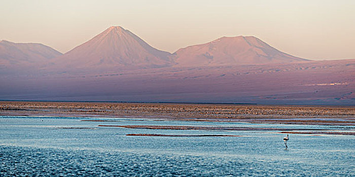 风景,泻湖,国家级保护区,佩特罗,阿塔卡马沙漠,省,安托法加斯塔大区,智利