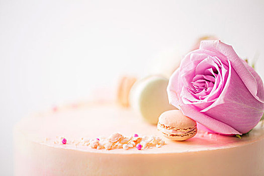 粉色,庆贺,蛋糕,装饰,花,蛋白杏仁甜饼,花瓣