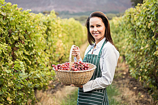 高兴,女性,葡萄酒酿植,拿着,篮子,葡萄,头像,葡萄酒厂