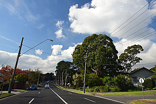 道路