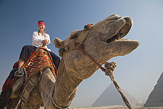女青年,游客,骆驼,吉萨金字塔,开罗,埃及