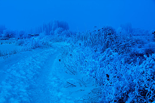 冰雪,世界