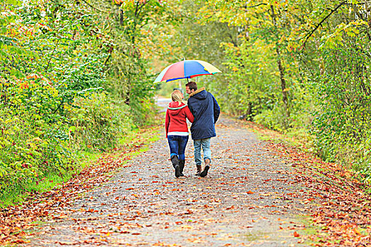 年轻,情侣,漫步,乡间小路,彩色,伞