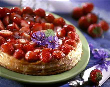 草莓糕点,蓬松饼,紫花