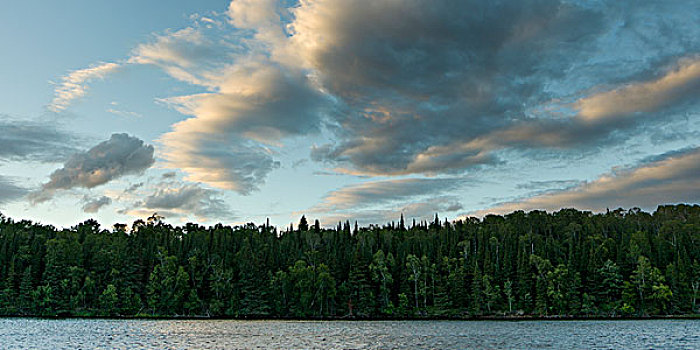 风景,树,湖岸,湖,木头,安大略省,加拿大