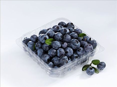新鲜,蓝莓,塑料制品,扁篮