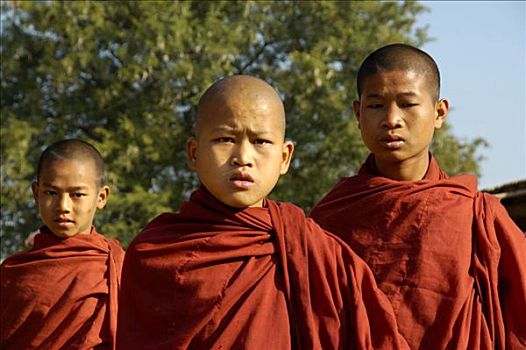 三个,佛教,新信徒,掸邦,缅甸,南亚