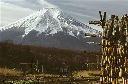 山,富士山,日本