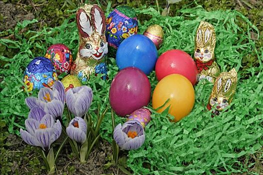 复活节草巢,巧克力,兔子,藏红花