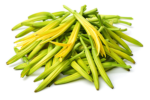 新黄花菜图片_新黄花菜图片大全_新黄花菜图片素材