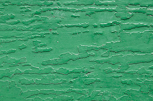 绿色,纹理,污渍,涂绘,木头