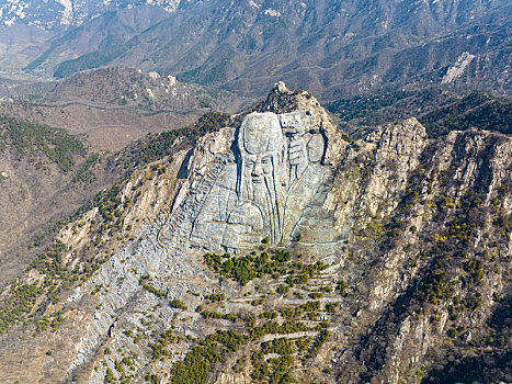 山东蒙山寿星