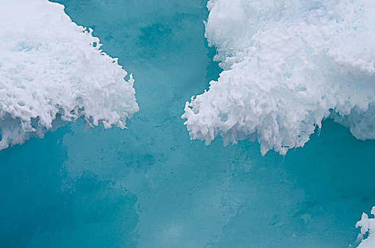 格陵兰,海洋,遥远,东海岸,靠近,海冰