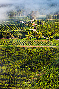 鸟瞰葡萄园,葡萄酒的国家,附近的,魄可宾,猎人谷,新南威尔士,澳大利亚