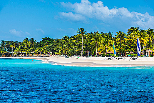 双体船,漂亮,棕榈树,白沙滩,棕榈岛,格林纳丁斯群岛,加勒比