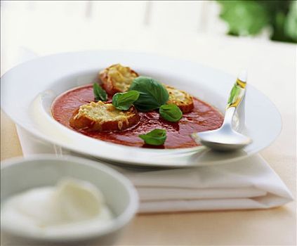 西红柿汤,奶酪,法棍面包,罗勒