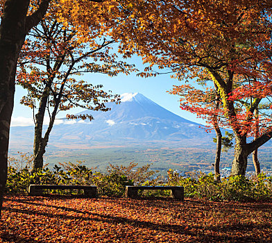 秋天,山,富士山,日本,漂亮,黄色