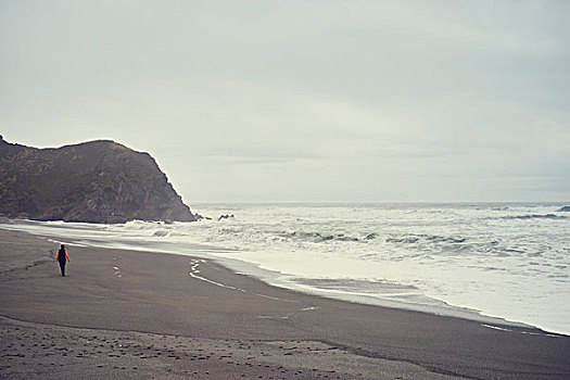 海滩,淡水,石头,特立尼达,加利福尼亚,美国