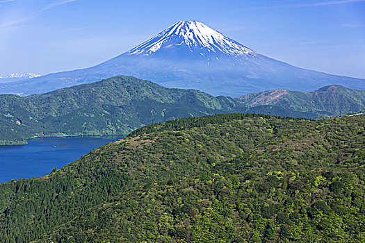 富士山,湖,箱根,神奈川,日本