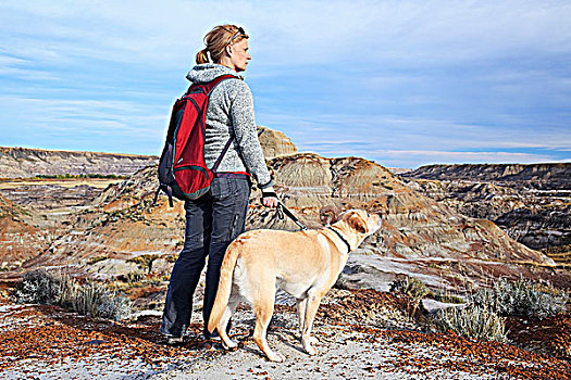 女人,远足,狗,站立,景色,俯瞰,马,窃贼,峡谷,德兰赫勒,艾伯塔省,加拿大