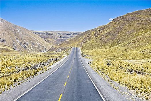 道路,通过,风景,秘鲁