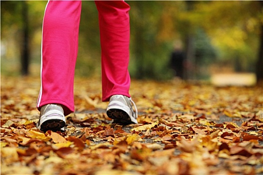 跑步,腿,跑鞋,女人,慢跑,秋天,公园