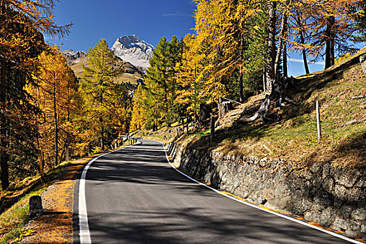 道路,瑞士