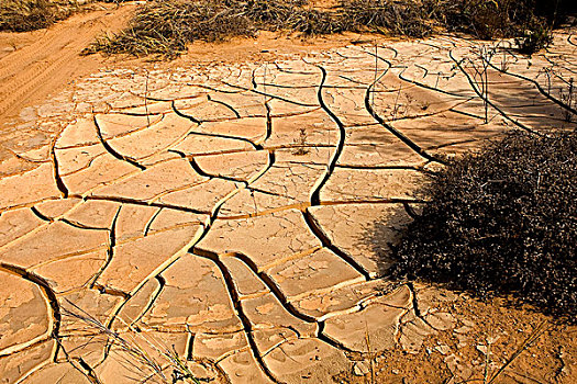 干旱,靠近,湾,纳米比亚