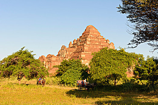 蒲甘,庙宇,马车,曼德勒,区域,缅甸