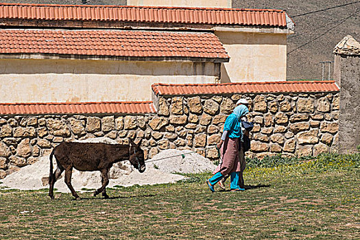 摩洛哥,靠近,阿特拉斯山区,女人,驴,家,乡村