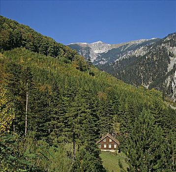 顶峰,风景,下奥地利州,奥地利