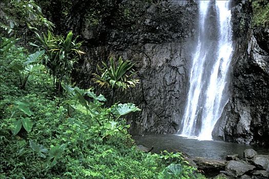 照片,塔希提岛,瀑布