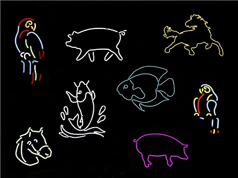 霓虹,动物,标识