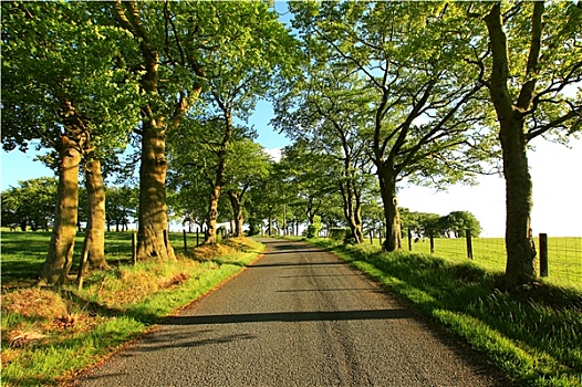 漂亮,乡村道路,苏格兰