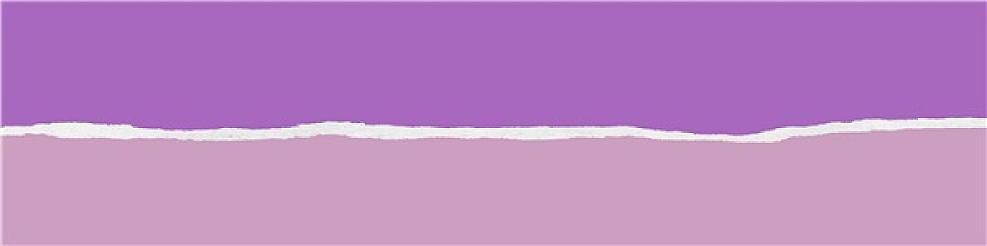 撕破,紫色,纸,旗帜