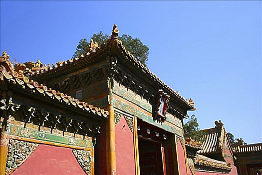 仰视,宫殿,故宫,北京,中国