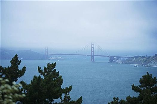 全景,桥,雾,金门大桥,旧金山,加利福尼亚,美国