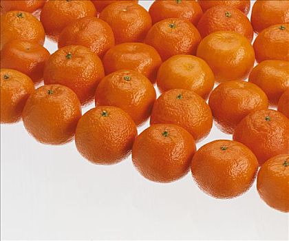 柑橘,喜爱