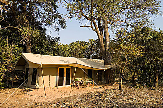 露营,南卢安瓜国家公园,赞比亚