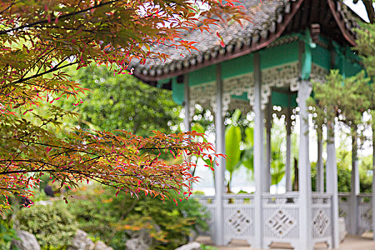 西子宾馆风景