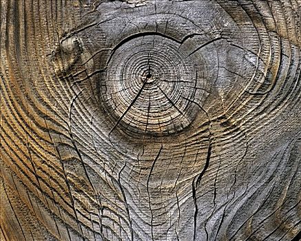 木质纹理,节孔