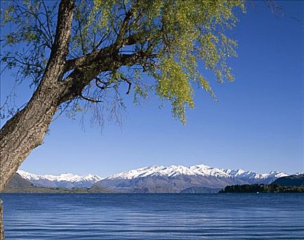瓦纳卡湖,南阿尔卑斯山,山峦,瓦纳卡,南岛,新西兰