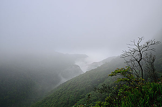 大明山