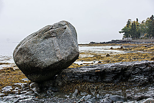 石头,岸边,正面,巴尔港,美国