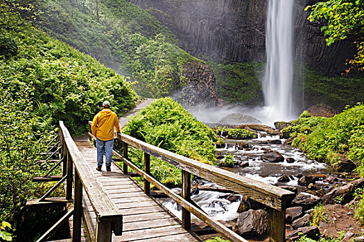远足者,桥,看,拉图来尔瀑布,哥伦比亚河峡谷国家风景区,俄勒冈,美国